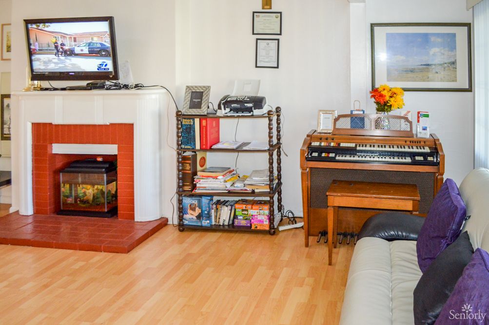 A cozy living room with a fireplace, television, bookshelves, and an organ.