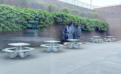 A quiet outdoor seating area with concrete tables surrounded by lush greenery.