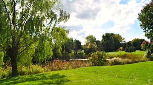 A serene view of a lush green park with a tranquil pond and vibrant trees under a partly cloudy sky.