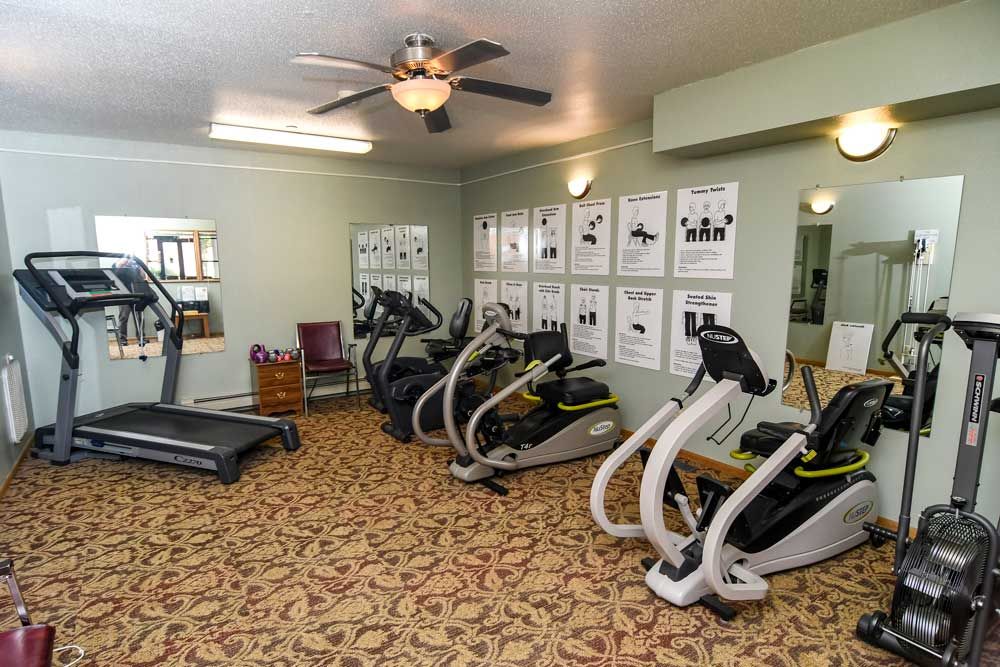 A small indoor gym with treadmills and elliptical machines on a carpeted floor.