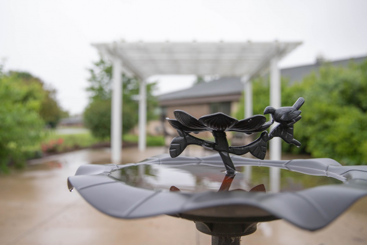 A metal bird sits on a garden bird bath under a pergola.