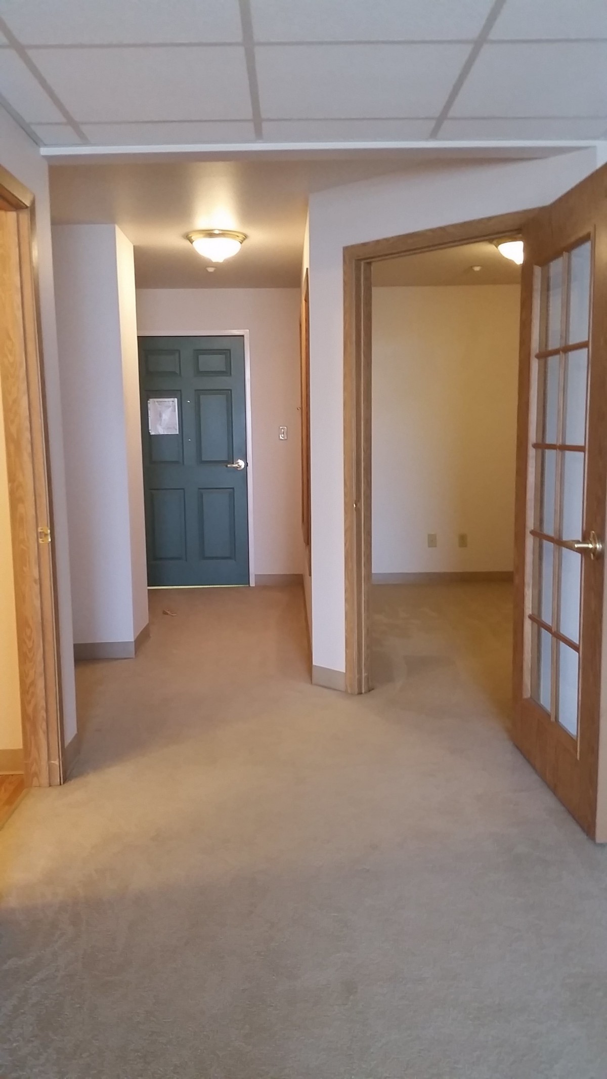 A view of an interior hallway with carpet and multiple doors leading to rooms.