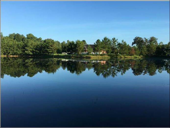 A serene lake reflecting the surrounding trees and clear blue sky.