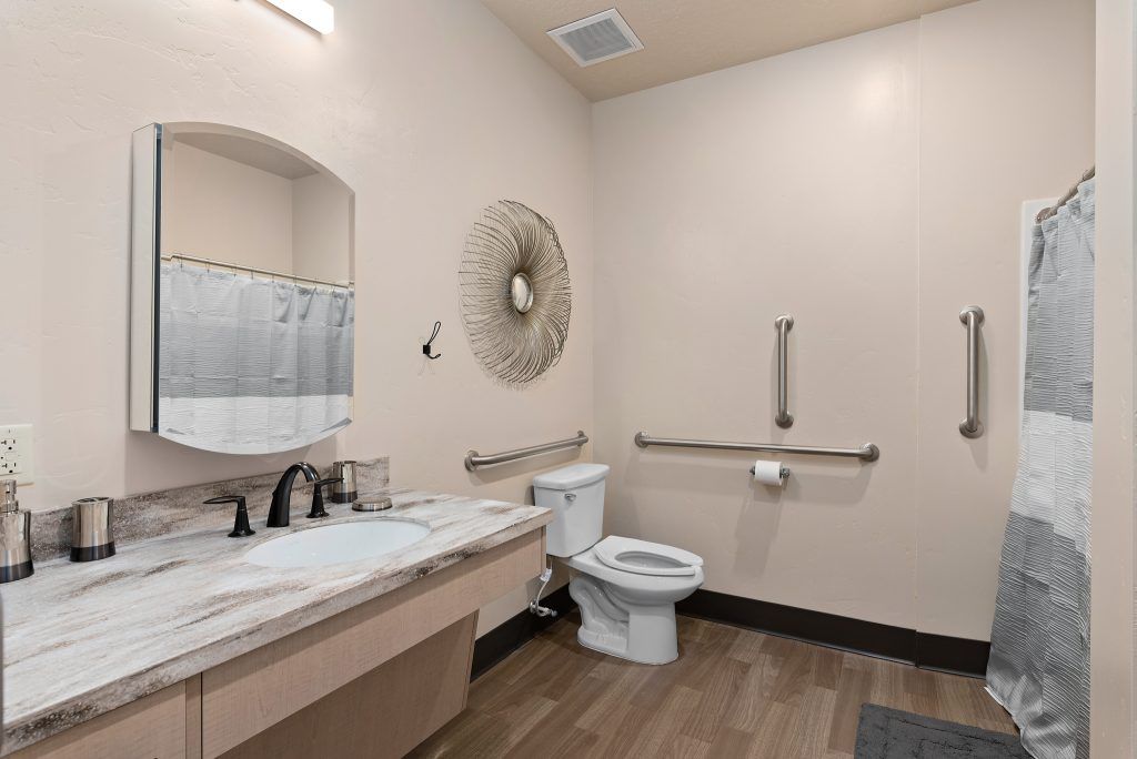 An accessible bathroom with handrails, featuring a toilet, sink, and decorative wall art.