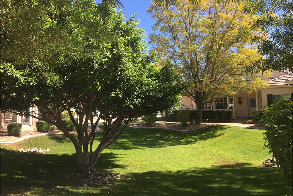 Arbor Rose Senior Care