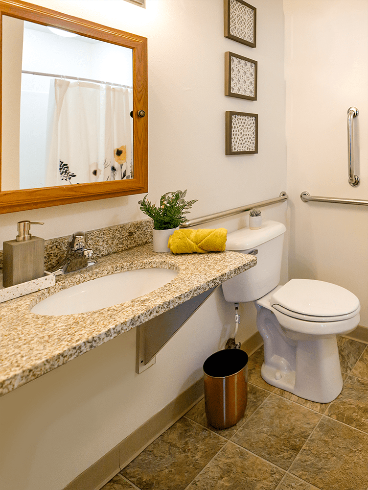 A clean and modern bathroom with a granite countertop, decorated with a plant and framed art.