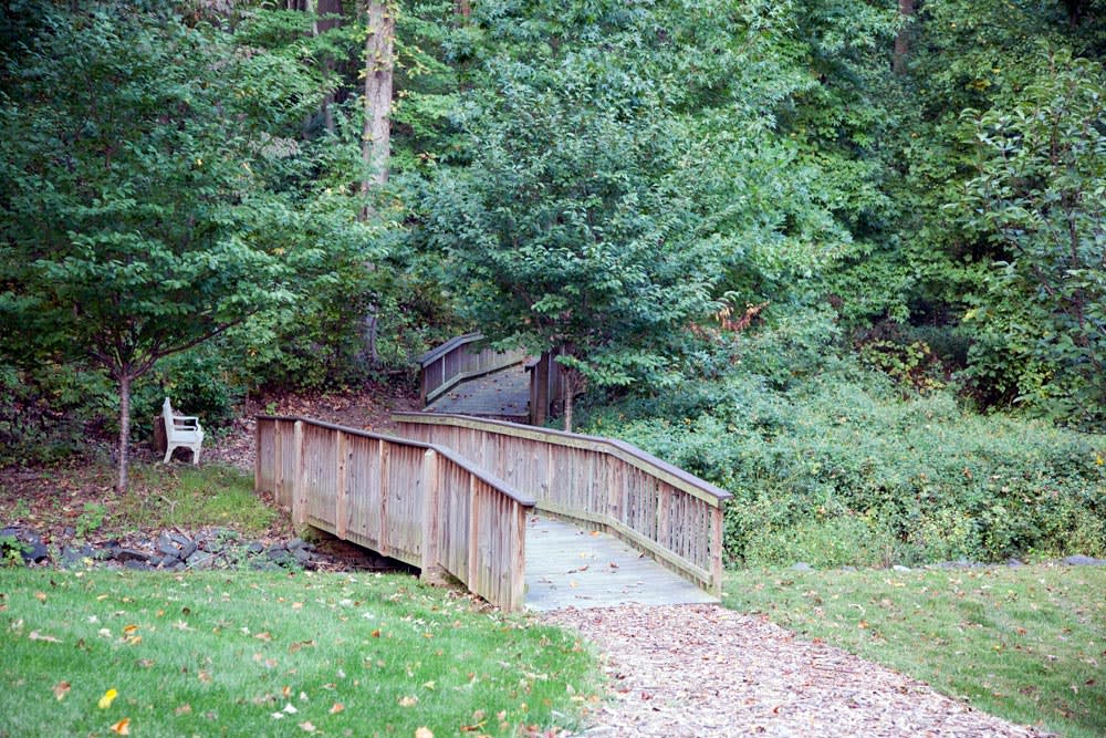 A wooden bridge leading into a lush forest area.
