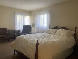 A cozy bedroom with a large bed, chair, and natural light streaming through the windows.