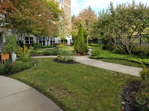 A serene garden pathway surrounded by lush greenery and vibrant trees.