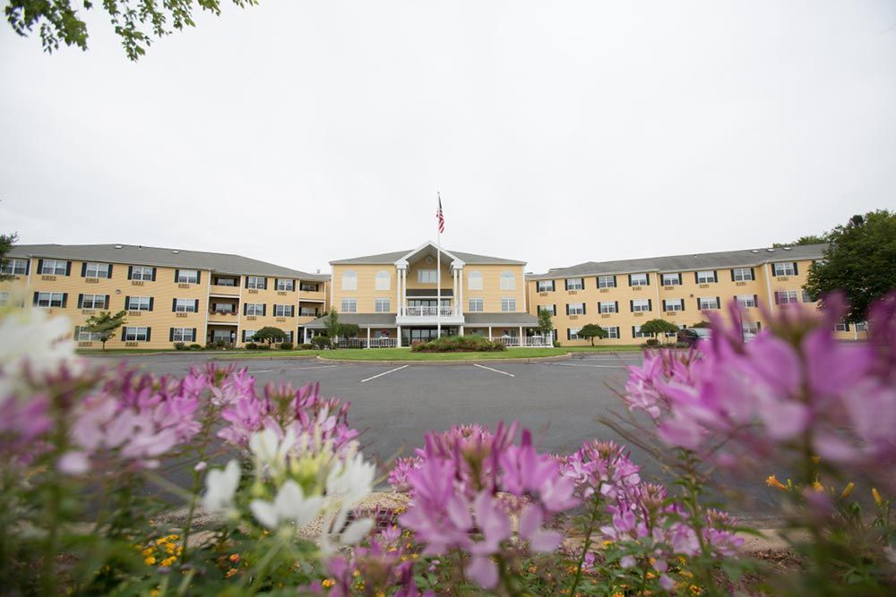 A large symmetrical building is seen from a distance, surrounded by vibrant pink and purple flowers.