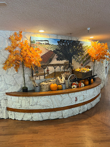 A beautifully arranged autumn display featuring orange trees and pumpkins, enhancing the inviting atmosphere.