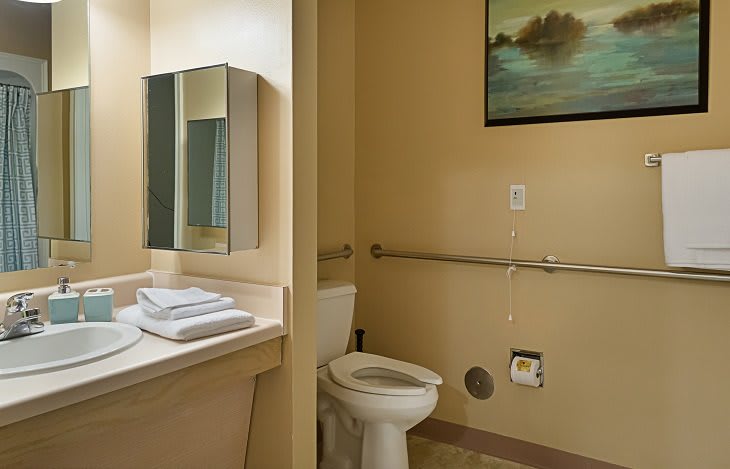 An accessible bathroom featuring a toilet with handrails, a sink with towels, a mirror, and a decorative painting on the wall.