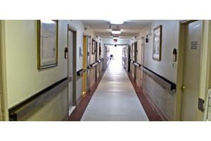 Homestead Nursing And Rehabilitation Of Collinsvil