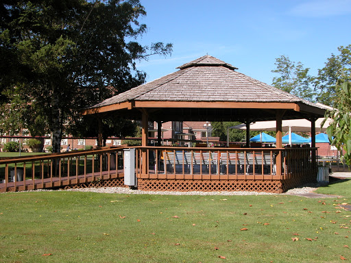 A serene wooden gazebo surrounded by lush greenery, perfect for outdoor relaxation.
