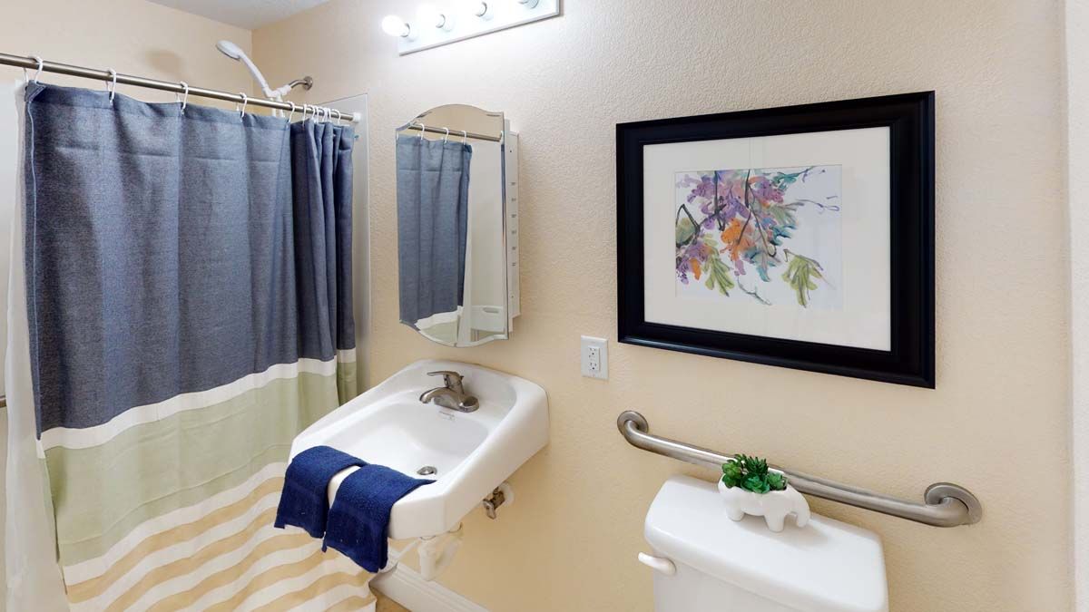 A well-organized bathroom featuring a sink, mirror, and shower curtain.