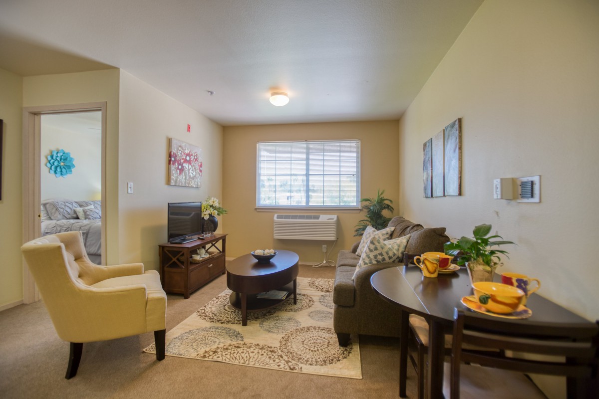 A cozy living room with modern furniture and decor, featuring a sofa, coffee table, and TV.
