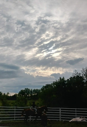 A serene view of a cloudy sky, blending shades of gray with hints of light.