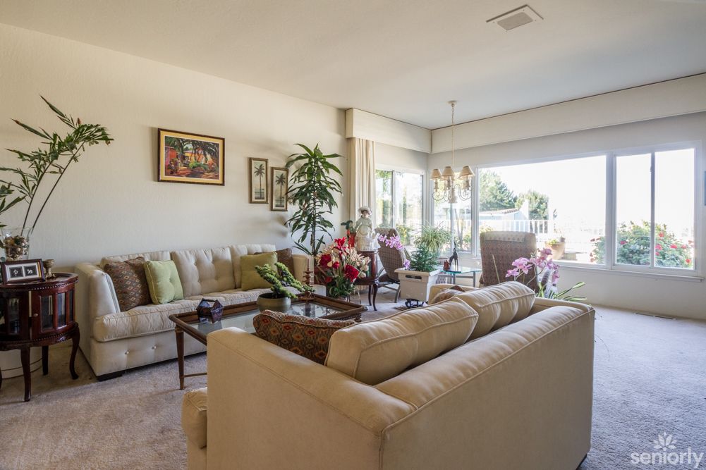 A modern living room with comfortable sofas, decorative plants, and natural light.