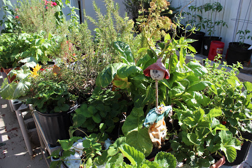 A vibrant garden filled with various plants and herbs, featuring a whimsical decoration.