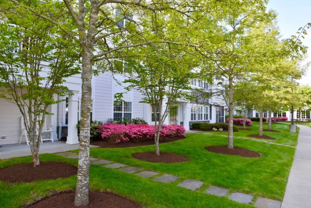 A well-maintained residential area featuring lush greenery and neatly arranged landscaping.