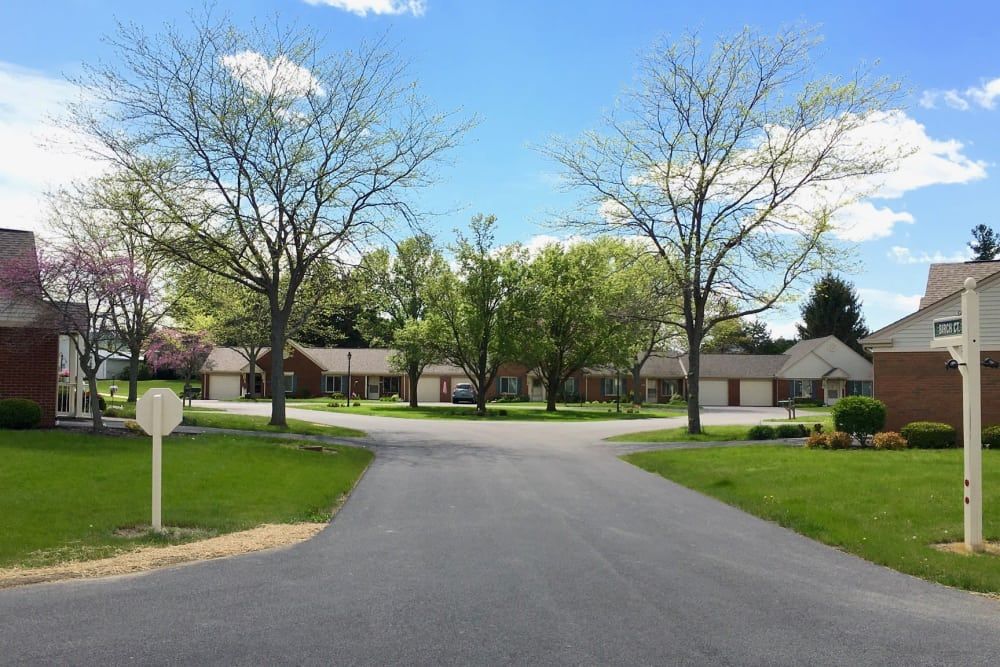 The Meadows Of Leipsic