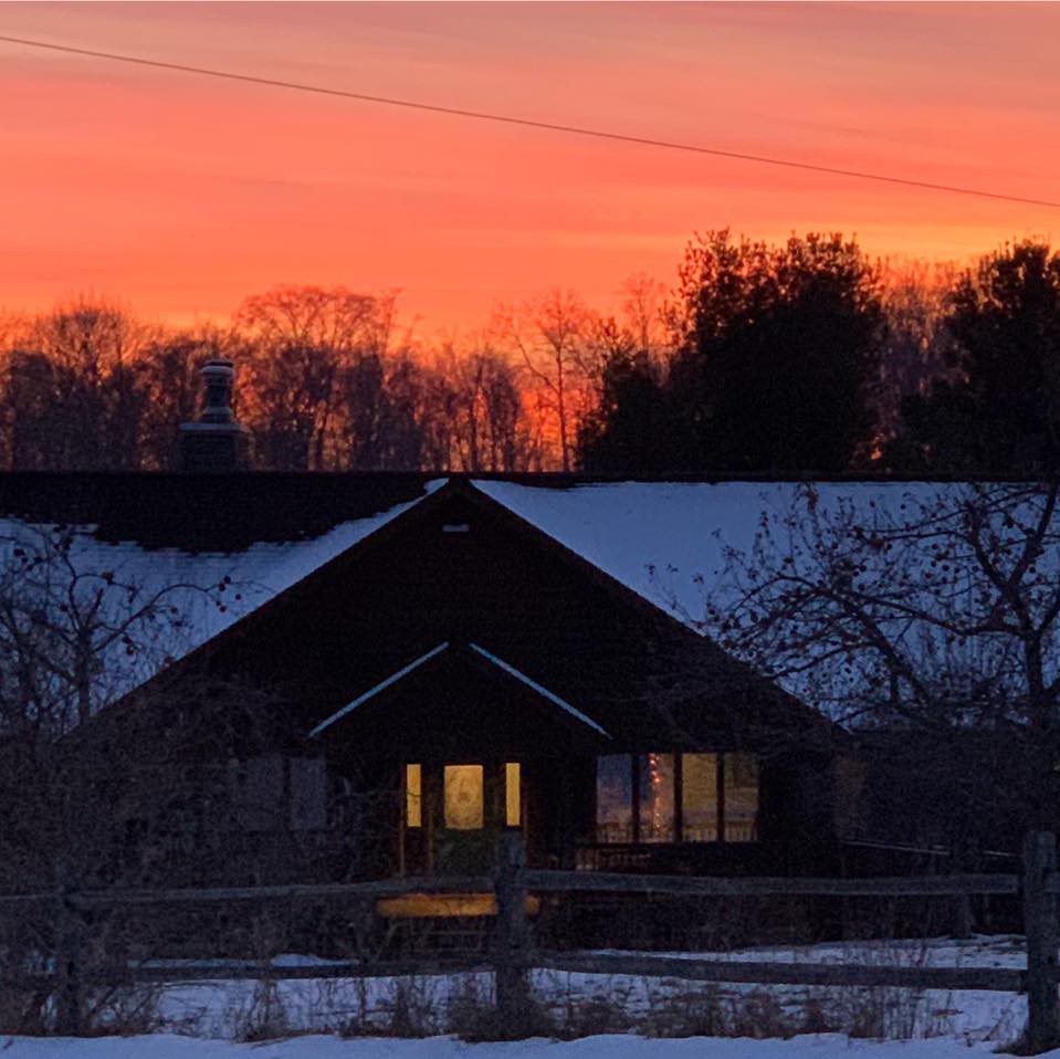 The Homesteader