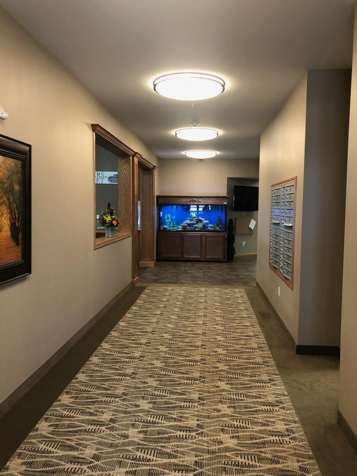 A modern hallway with a carpeted floor, artwork on the walls, and an aquarium at the end.