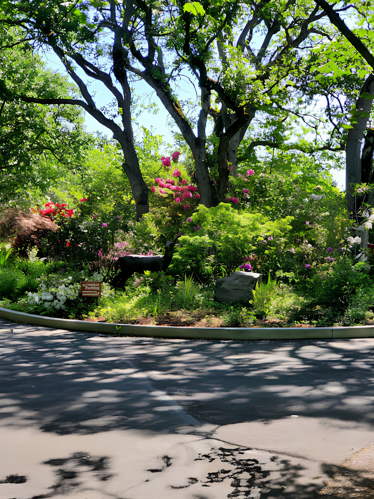 A lush garden with vibrant flowers and dense greenery under a canopy of trees.