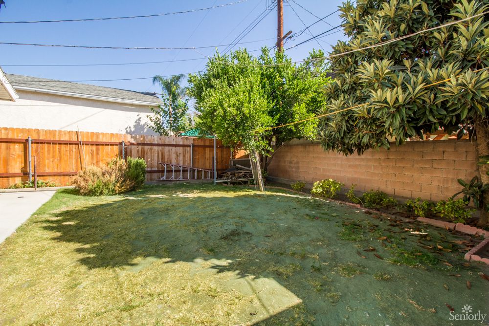A sunny backyard featuring green grass, trees, and a wooden fence.