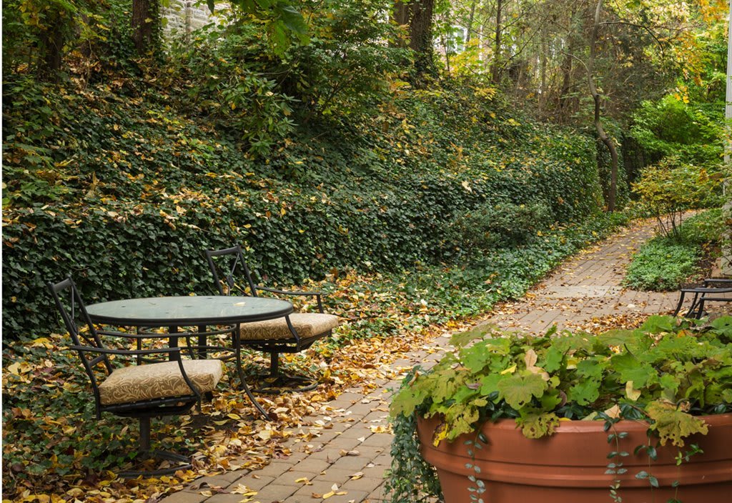 A peaceful garden path lined with ivy and foliage, featuring an outdoor seating area.