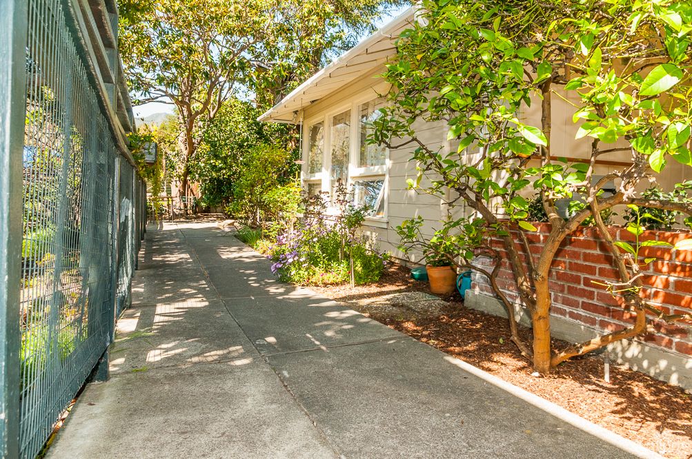 A sunny driveway alongside a house, surrounded by lush greenery and potted plants.
