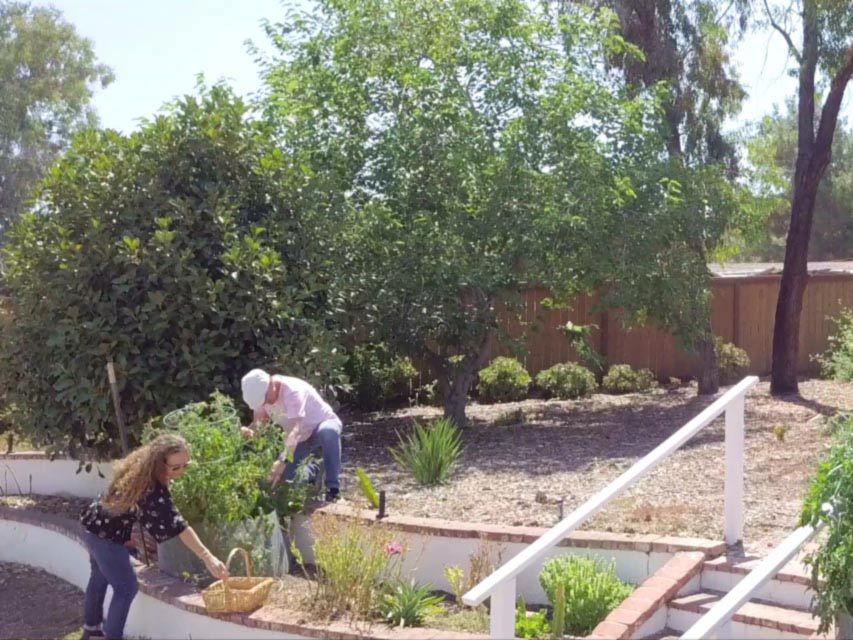 Two people gardening in a sunny backyard.