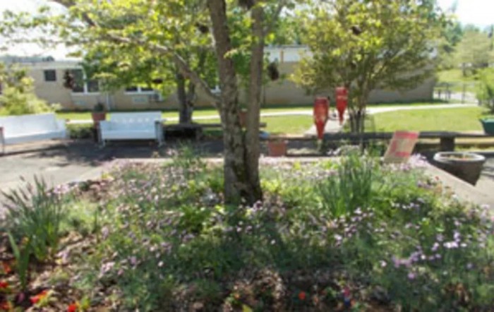Clay County Nursing Home