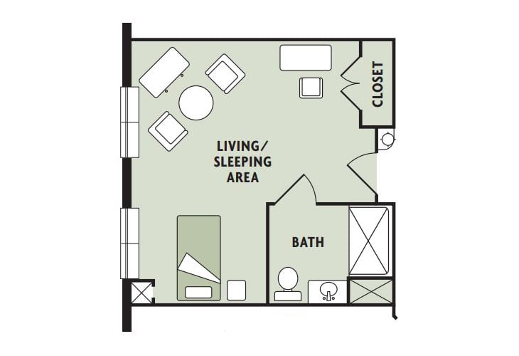 Studio apartment floor plan with a combined living and sleeping area, bathroom, and closet.