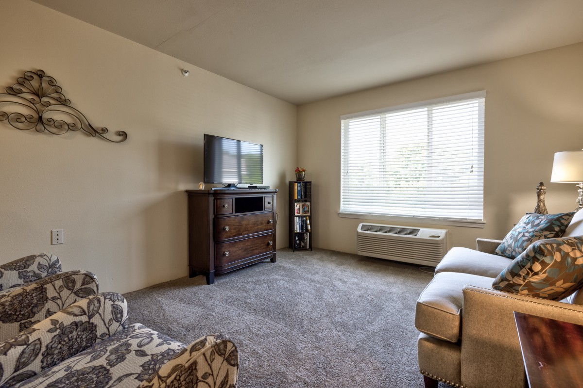 A cozy living room with a television, sofa, and large window allowing natural light.