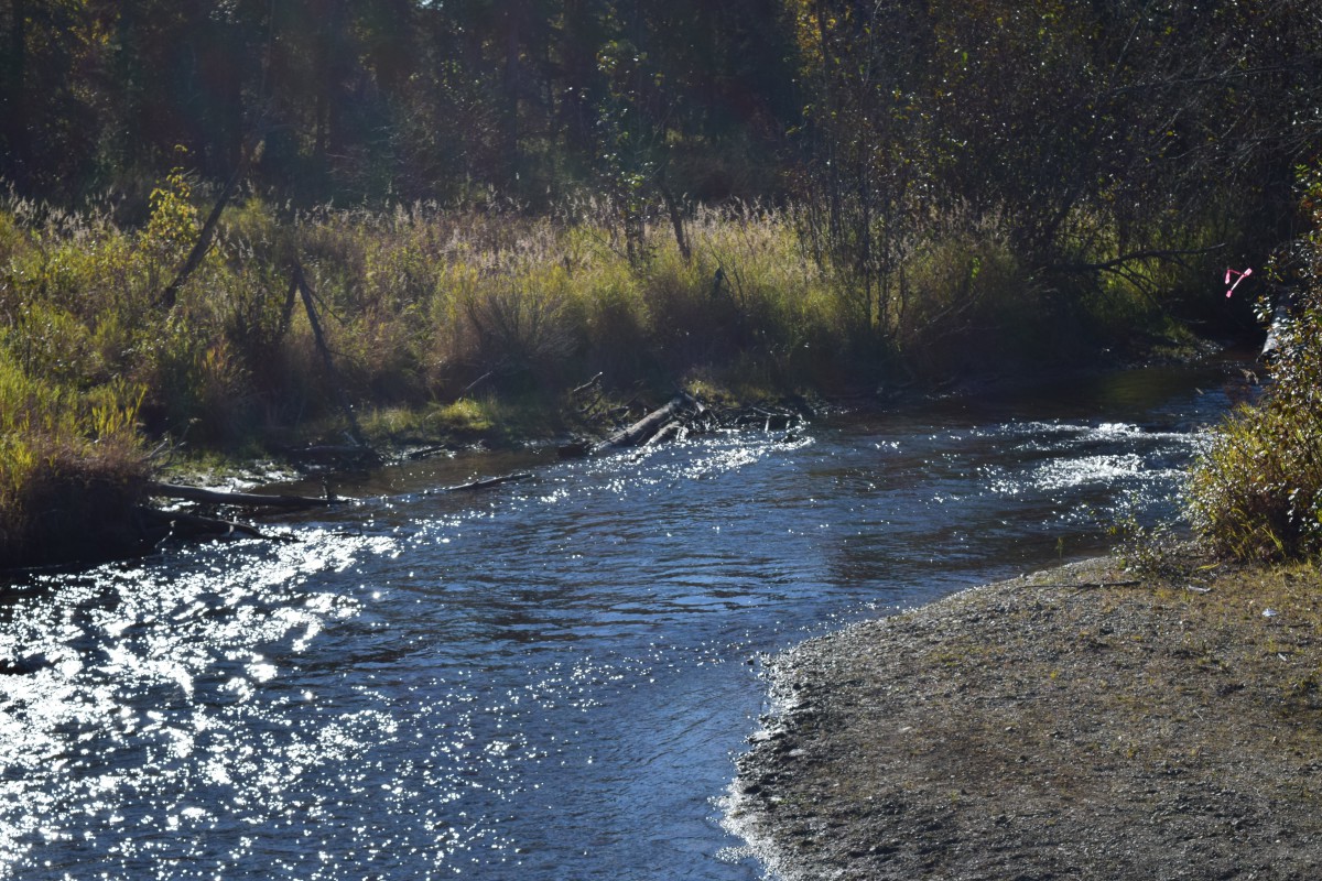 A serene river flowing through a natural landscape with sunlight sparkling on the water.