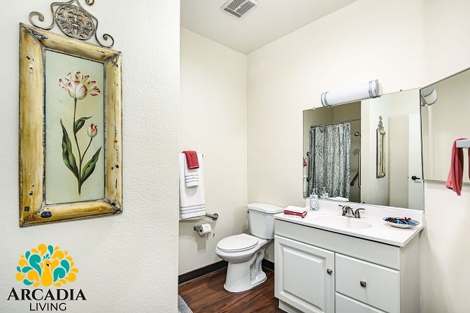 A well-decorated bathroom with a mirror, sink, and toilet.
