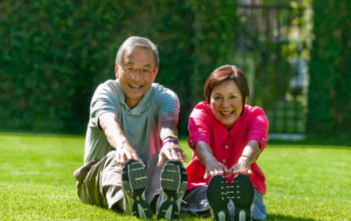An elderly couple enjoying a stretching exercise on the grass outdoors.