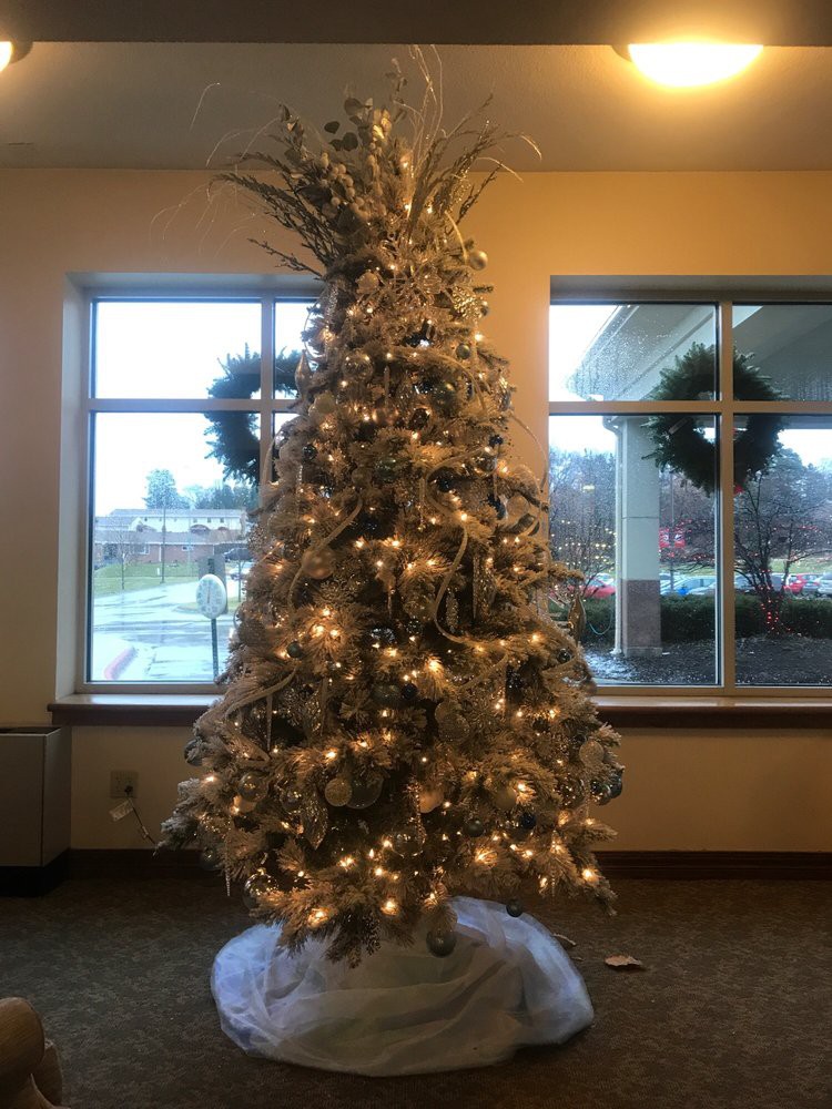 A beautifully decorated Christmas tree with glowing lights indoors.