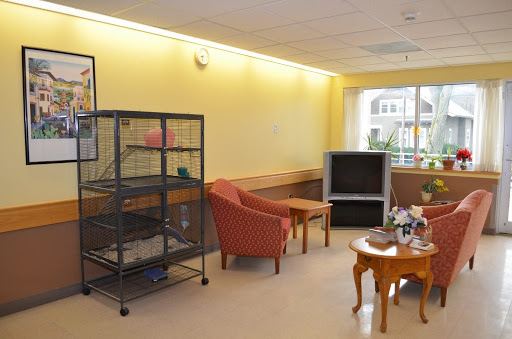 A cozy sitting area featuring a cage, television, and comfortable seating against yellow walls.