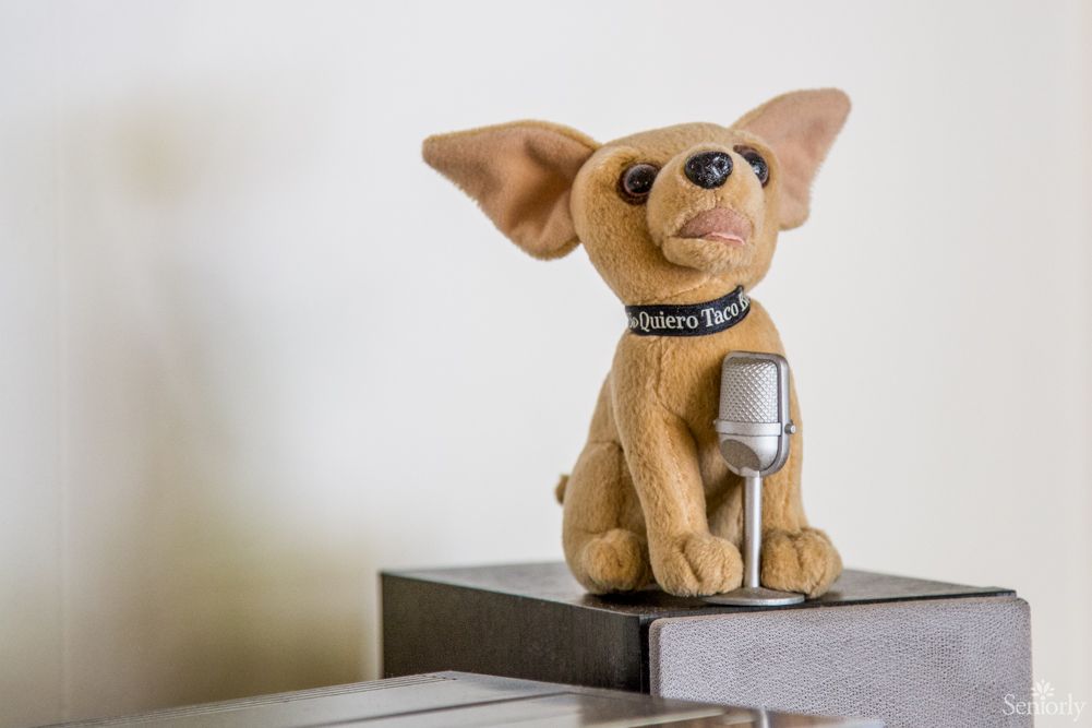 A decorative Chihuahua figurine with a microphone collar sits atop a surface.