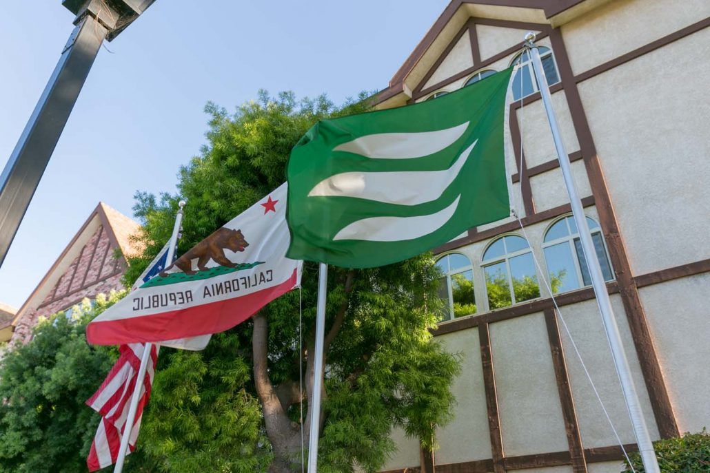 A display of the California state flag alongside a green flag outside a building.