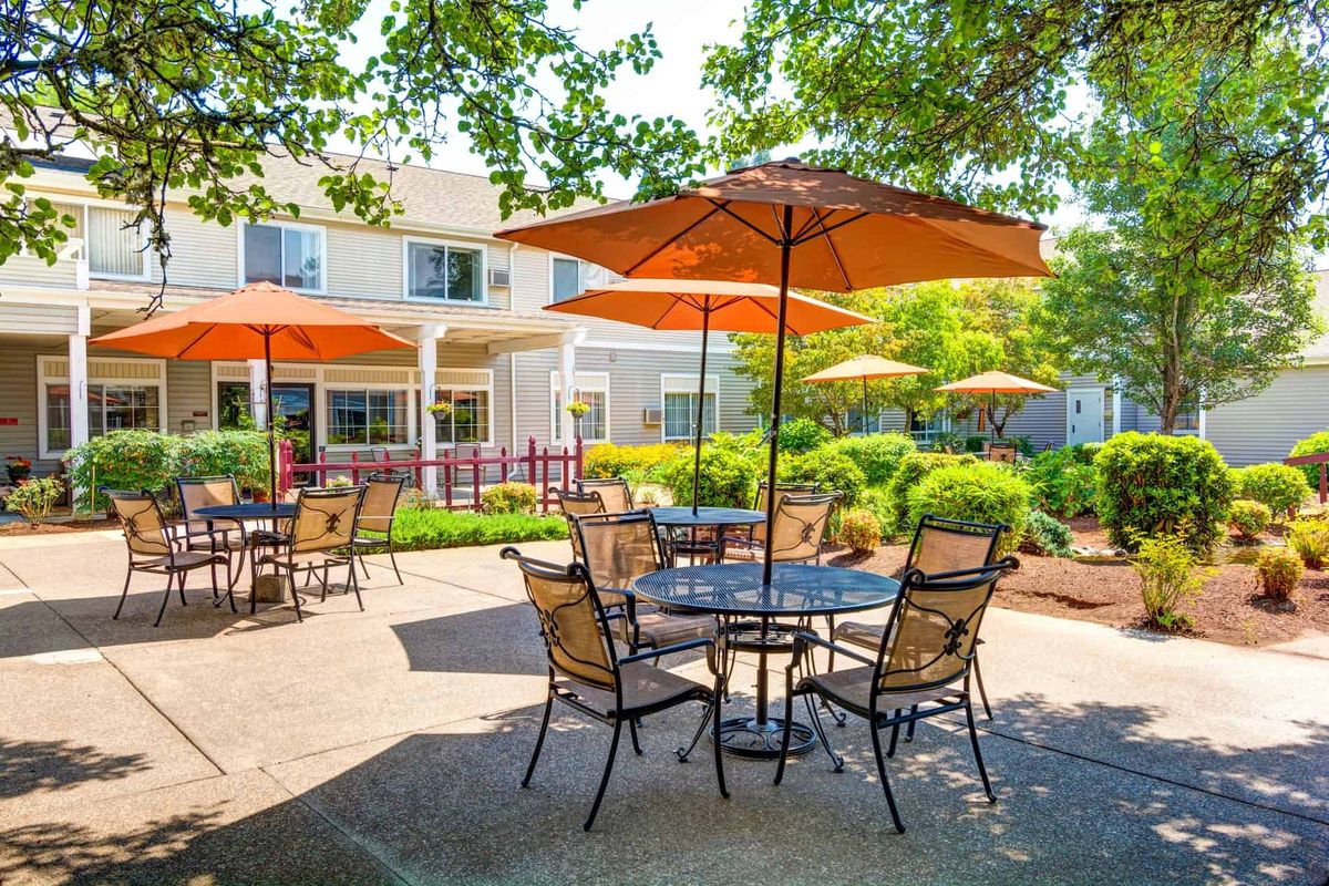 A sunny outdoor patio with tables, chairs, and orange umbrellas surrounded by lush greenery.