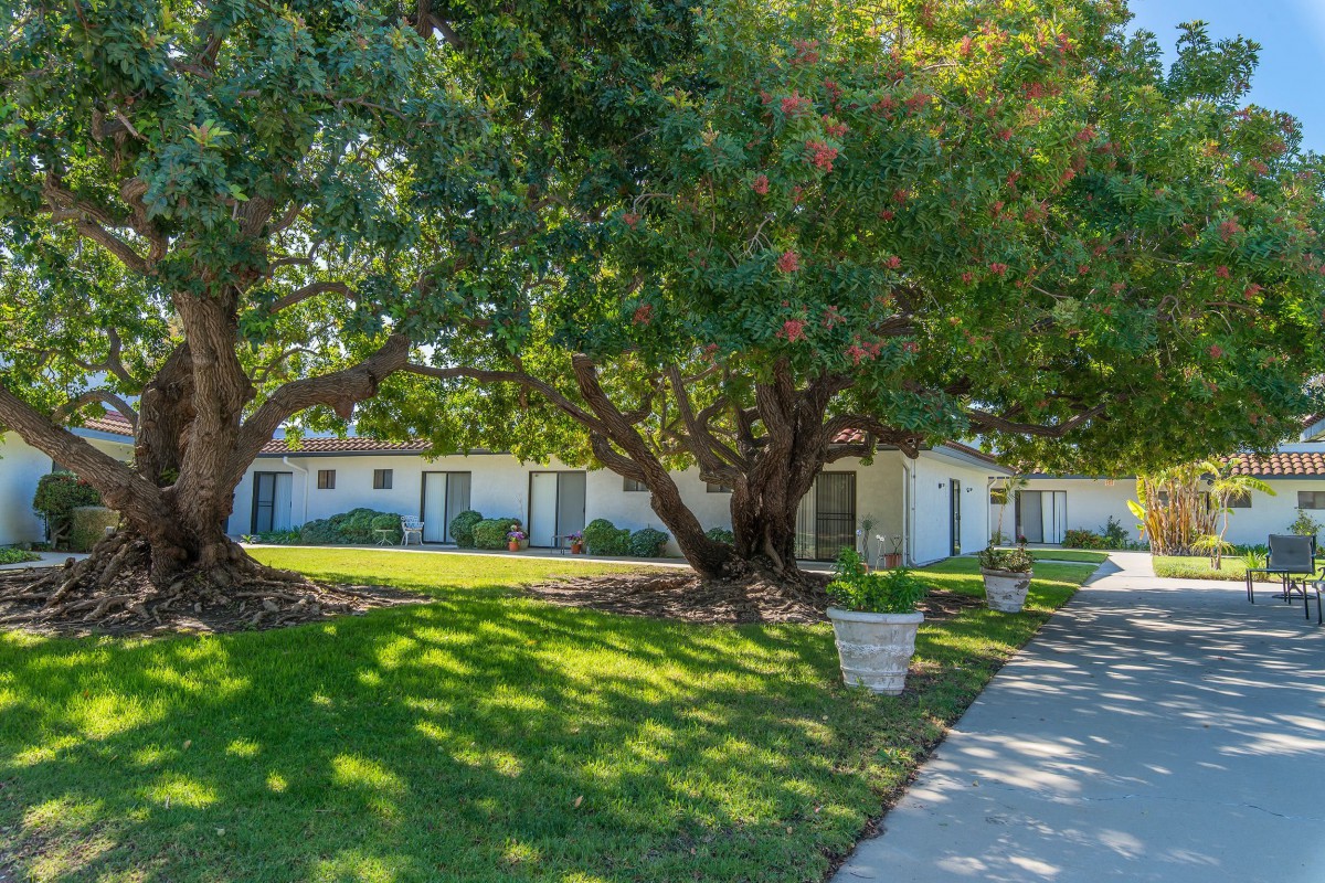 A residential house with a green lawn and trees providing shade over a sidewalk.