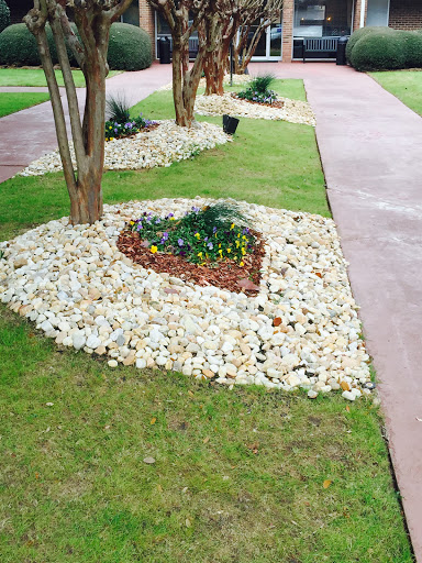 A beautifully landscaped garden featuring heart-shaped flower beds surrounded by decorative stones.