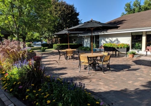 A sunny outdoor patio with tables, chairs, and umbrellas surrounded by greenery.