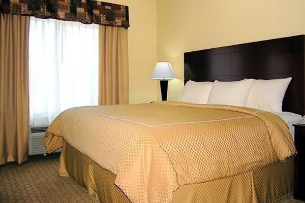 A neatly arranged hotel room with a large bed and ambient lighting.