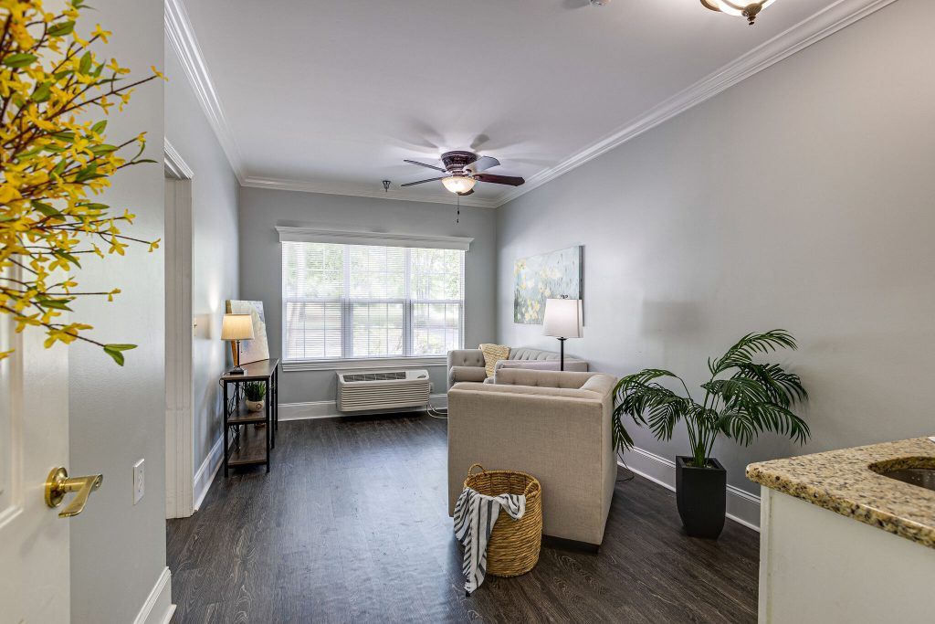A modern living room with hardwood floors, a ceiling fan, and plenty of natural light.