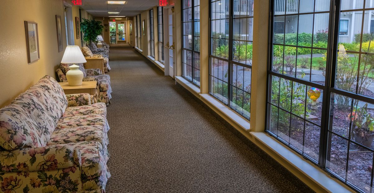 A peaceful, carpeted hallway with large windows allowing natural light to illuminate the space.