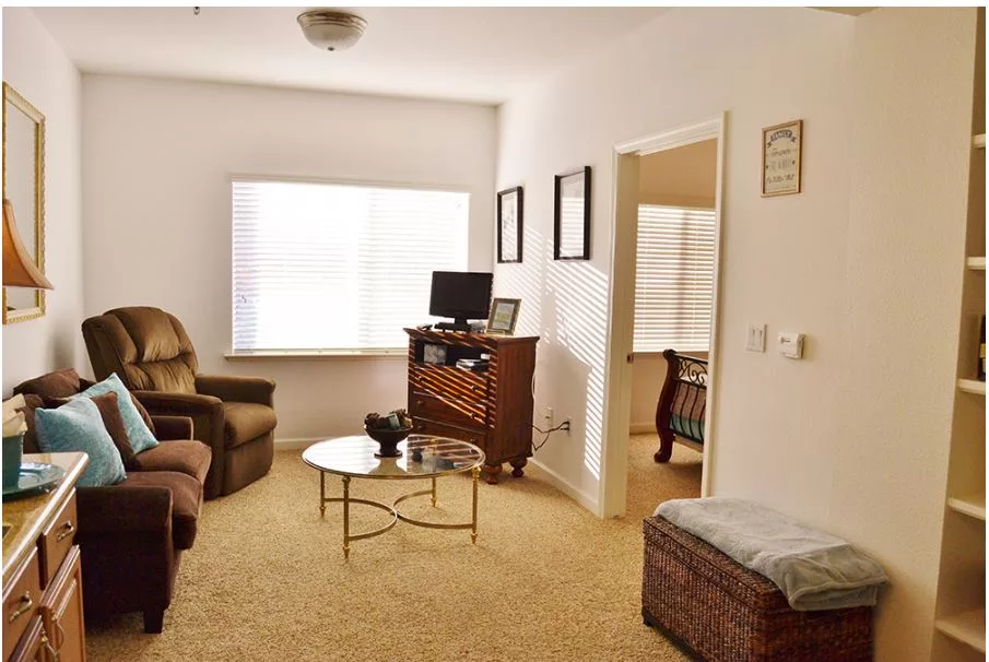 A cozy living room with a sofa, armchair, TV stand, and a coffee table near a large window.